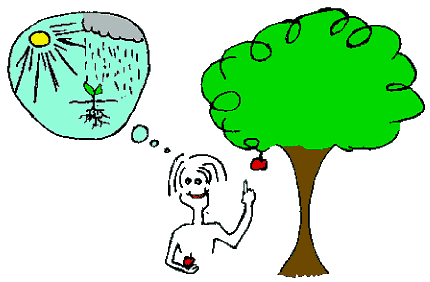 pendidikan_lingkungan